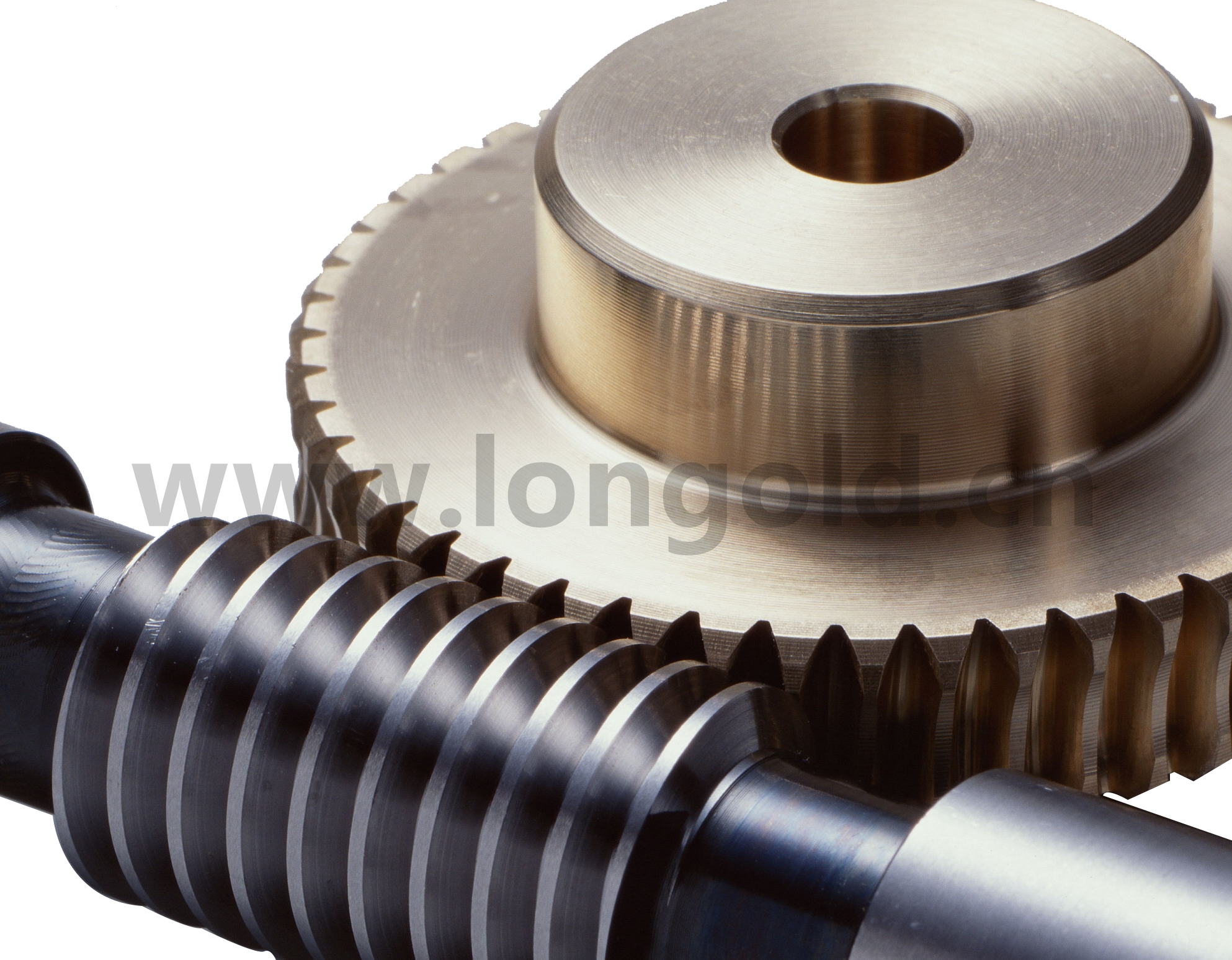 蝸輪蝸桿III 蝸輪蝸桿III