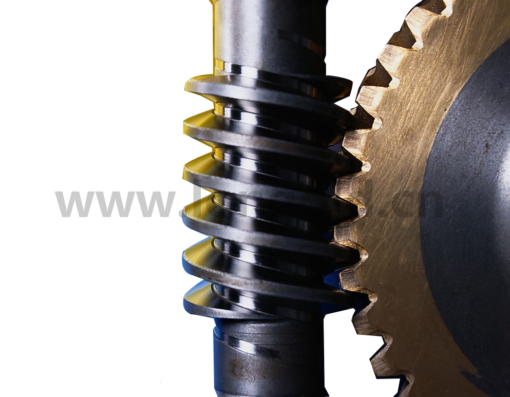 蝸輪蝸桿II 蝸輪蝸桿II